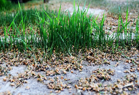 생활환경 위생 관점에서 본 ‘비 오는 날’ 집 위생 상태