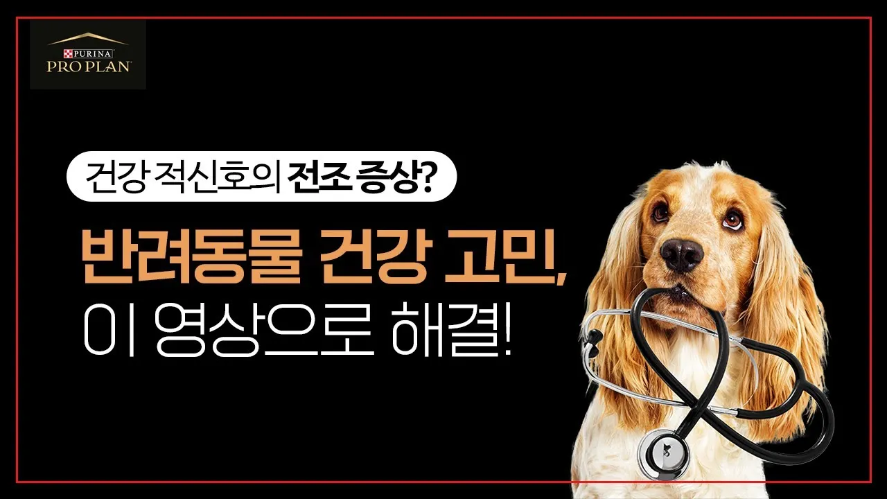 반려동물 건강 위한 최신 연구 동향 소개_9