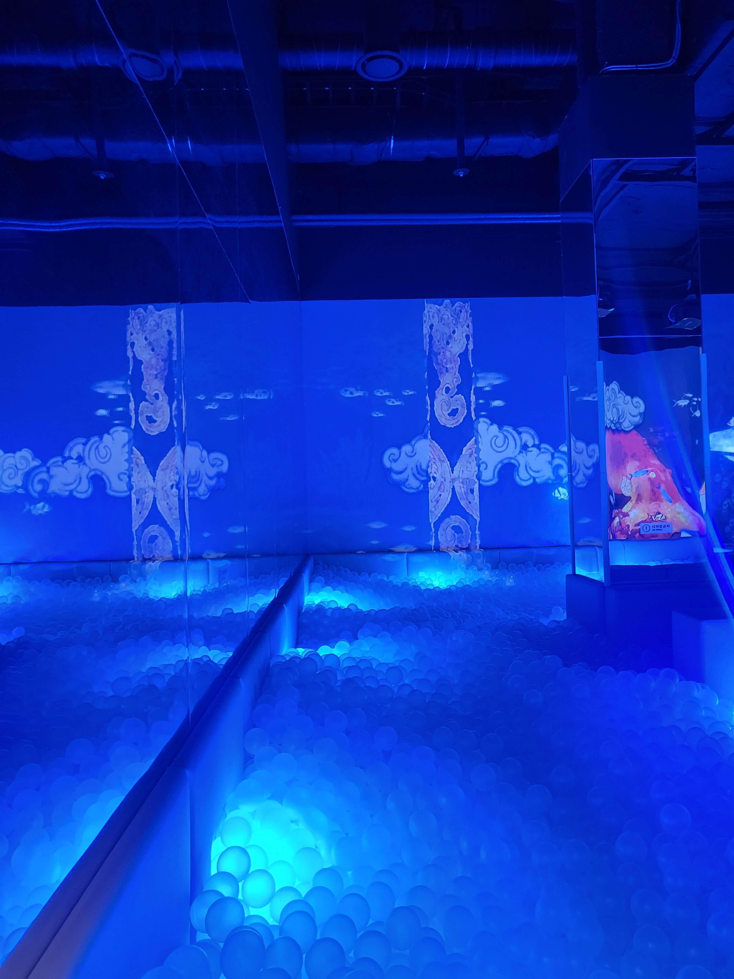 스타필드 매직플로우 원더래빗