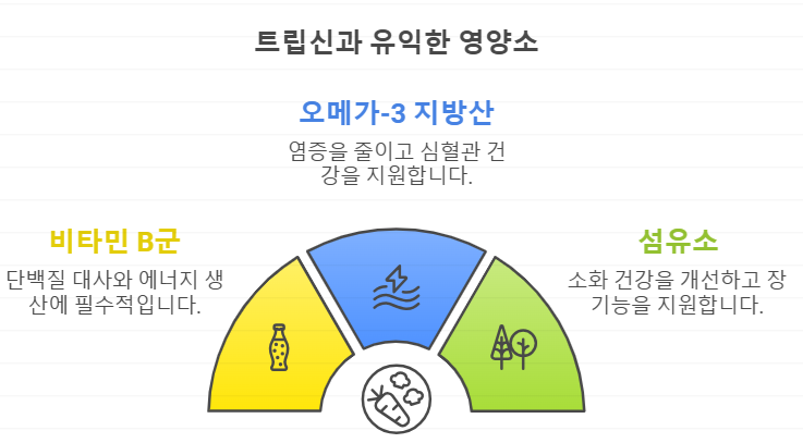 트립신과 시너지 영양소