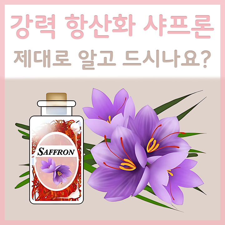 샤프론-외형
