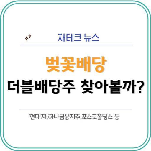 벚꽃배당 더블배당