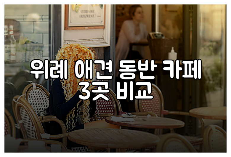 위례 애견 동반 카페 3곳 비교
