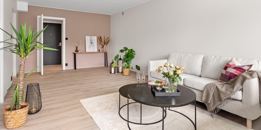 식물 인테리어 배치