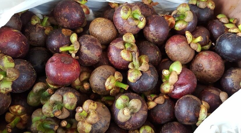 많은 망고스틴이 비닐봉지에 담겨져 있는 사진입니다.