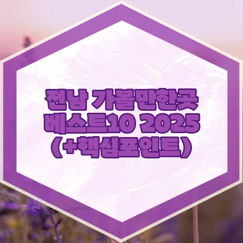 전남 가볼만한곳 베스트10 2025 (+핵심포인트)