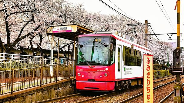 도쿄 1일 승차권 버스 트램