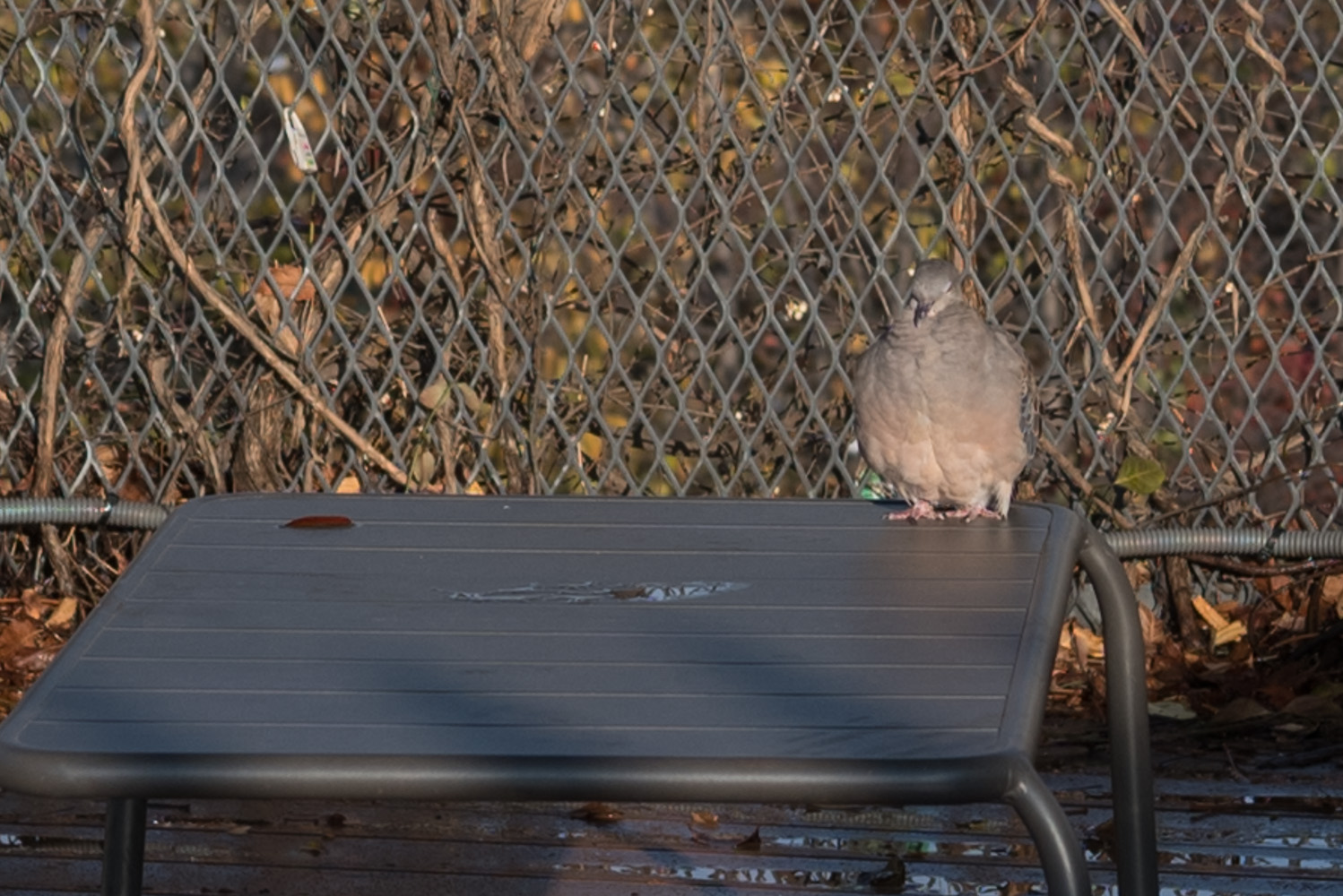 종로의 설경 인사동