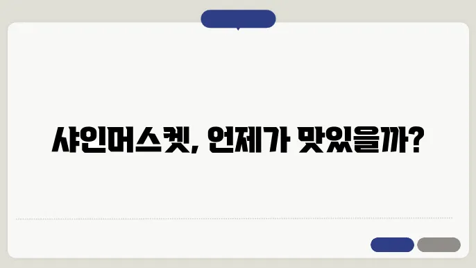 샤인머스켓 수확 시작 시기 확인하기