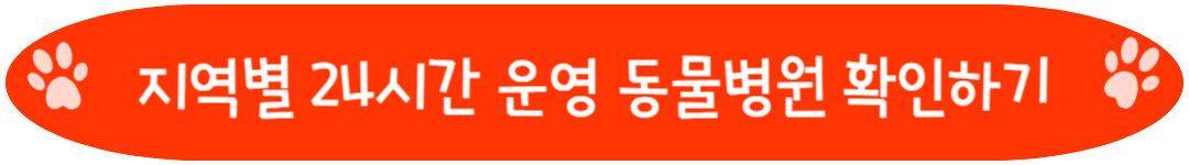 지역별 24시간 운영 동물병원 확인