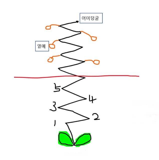 호박 순지르는 방법