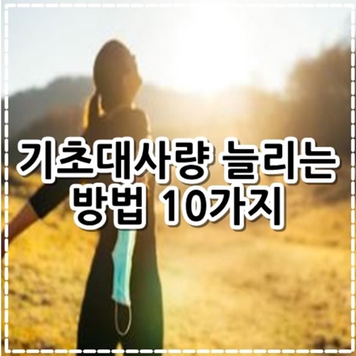 기초대사량 늘리는 방법 10가지 알아보기