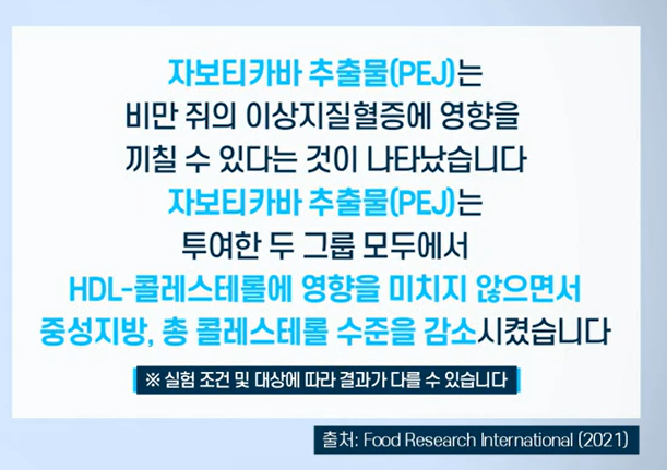 자보티카바 효능