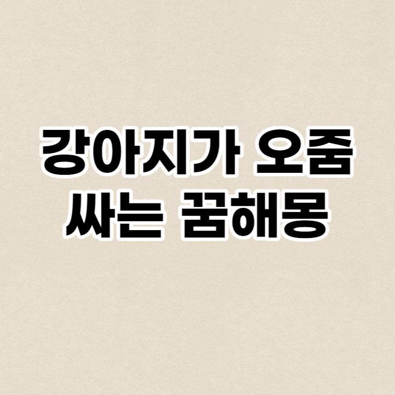 강아지가 오줌 싸는 꿈해몽