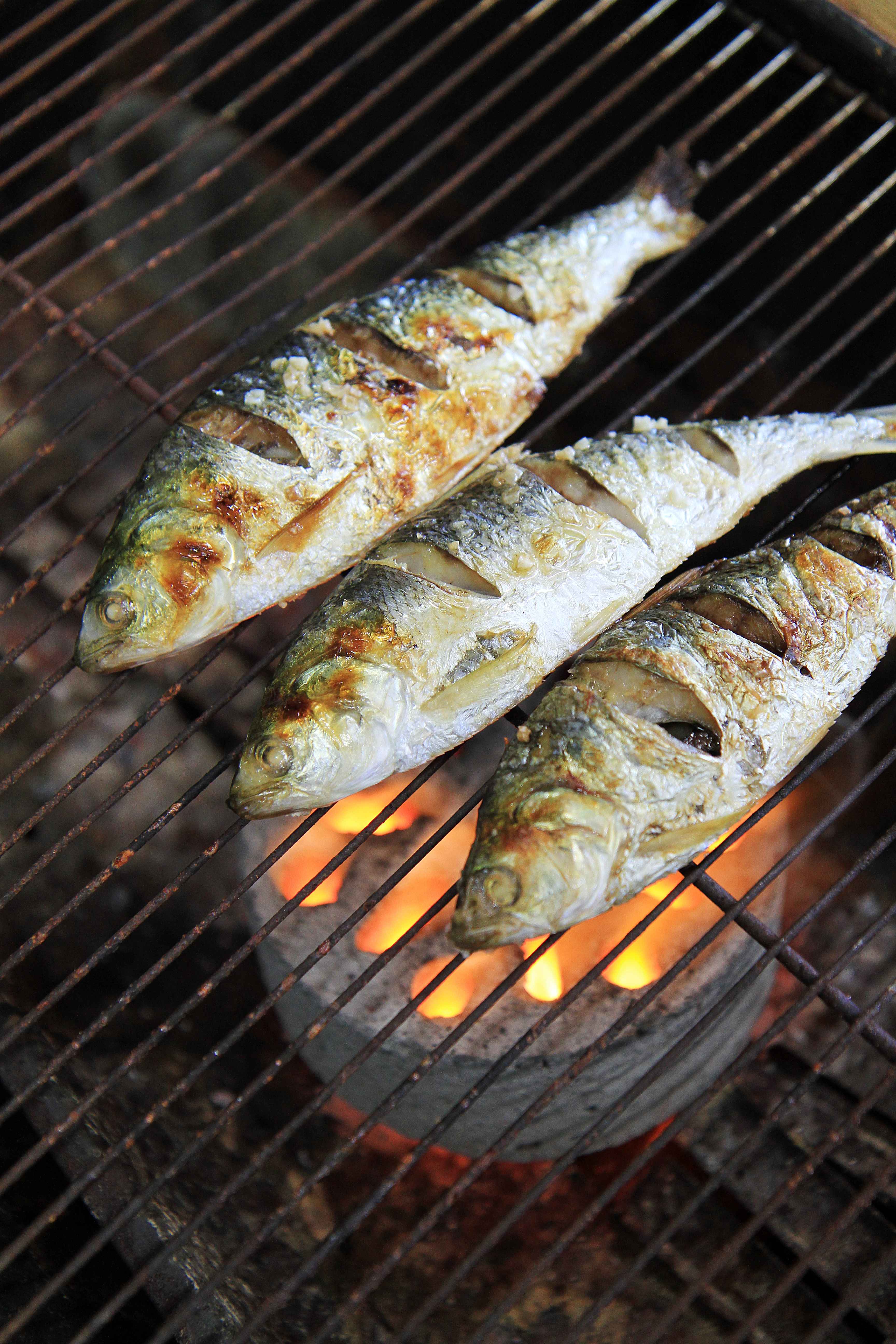 여수-먹거리-전어회-구이