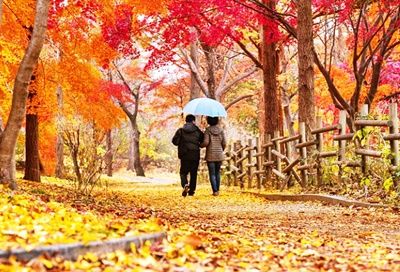 단풍길산책