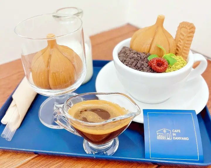 제209회 놀라운토요일 놀토 정소민 황민현 이재욱 디저트라운드 마늘아포카토 맛집 단양 구경시장 디저트 카페 소개