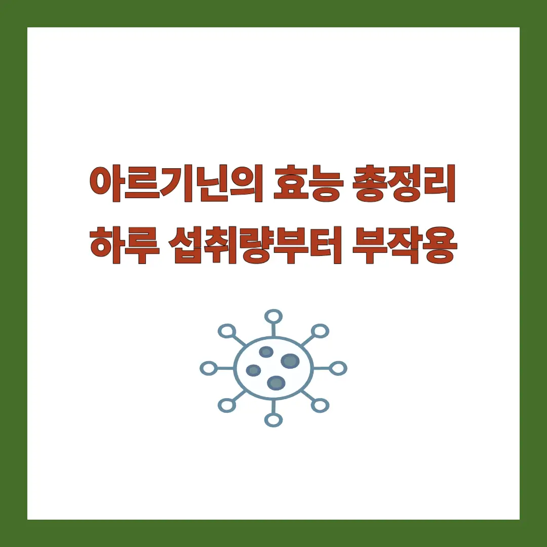 아르기닌 효능