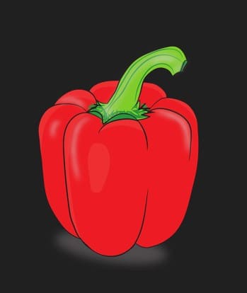 파프리카
