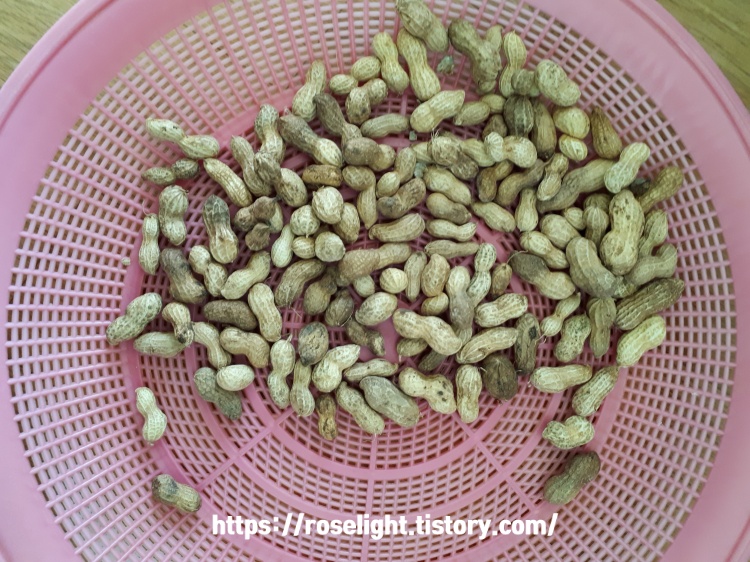 생땅콩껍질까기