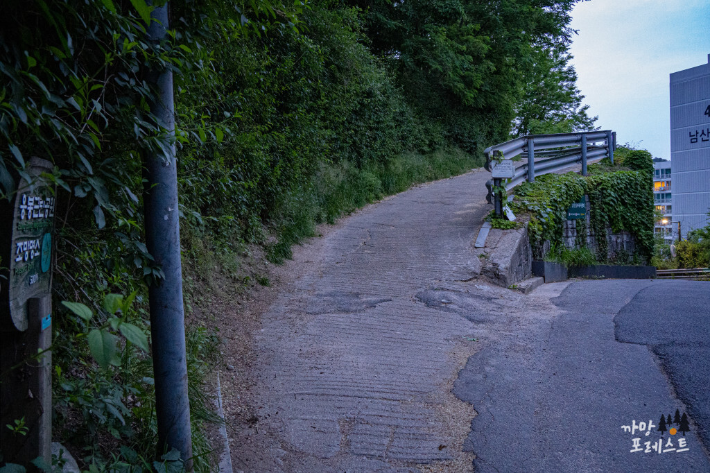 매봉산 공원 오르막길