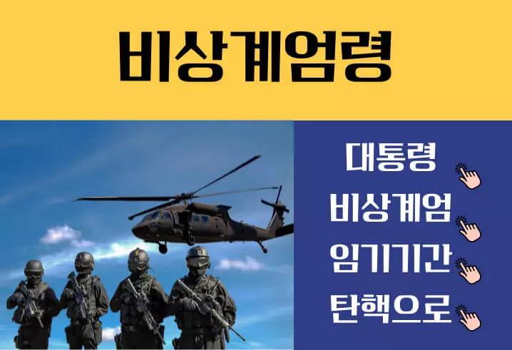 윤석열 비상계엄령 선포 대통령