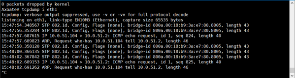 Source NAT 설정 테스트