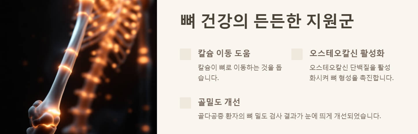 비타민 K2 효능 및 부작용