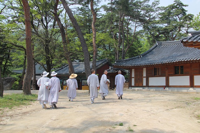 사찰음식 대축제 기본정보 프로그램 행사 일정