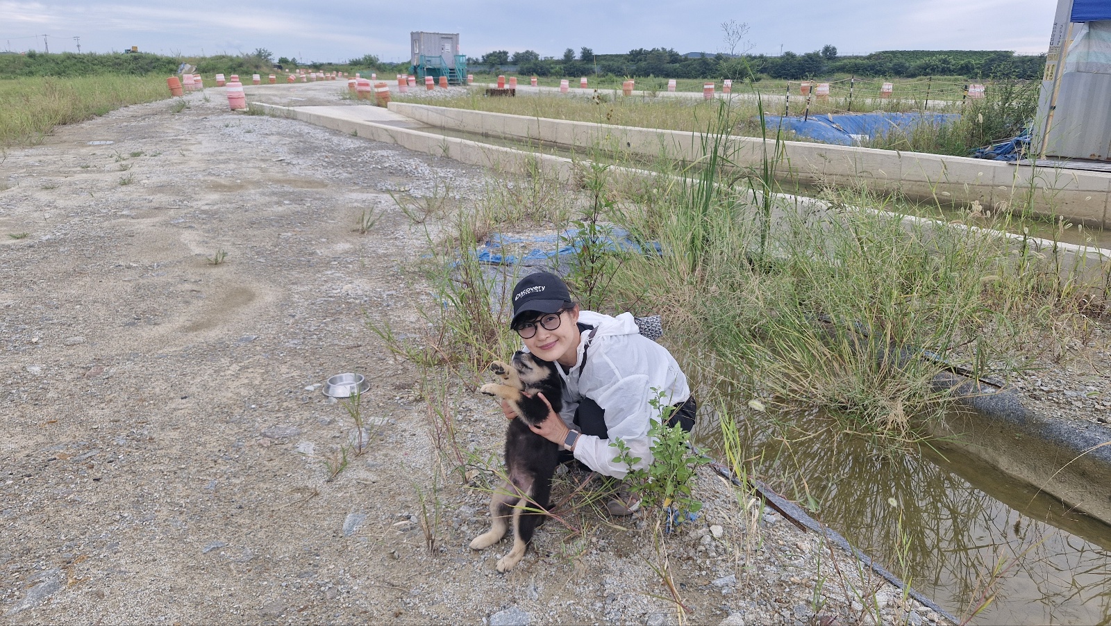 강아지 배개 배고 자는이유 5가지