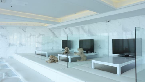 Cafe Byul Bed