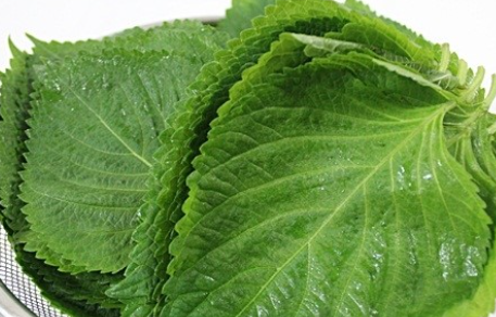 깻잎김치 만드는법