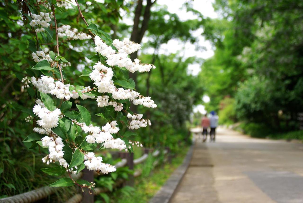 산책을 하다 보면