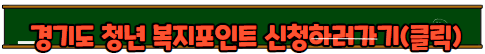 경기도 청년 복지포인트
