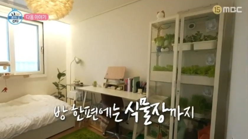 배우 옥자연 집 공개│이케아 밀스보 유리도어 수납장 식물장