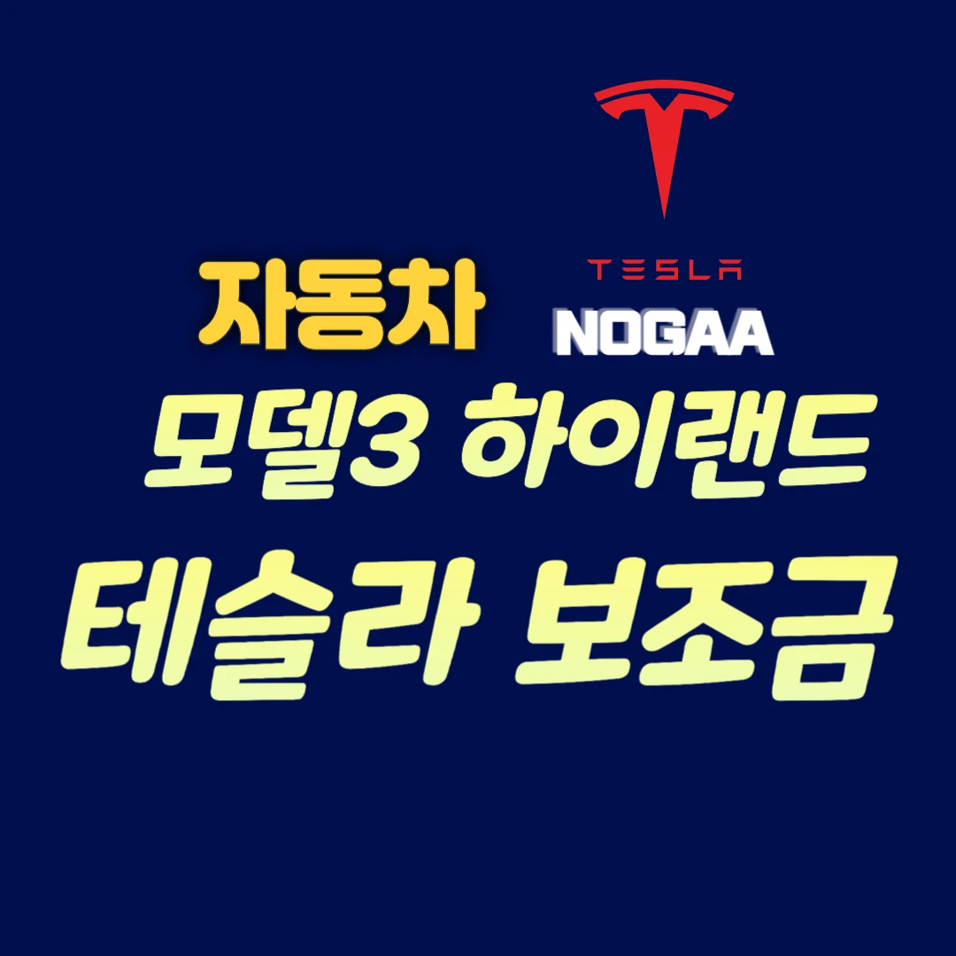 테슬라 모델3 하이랜드 보조금: 2024년