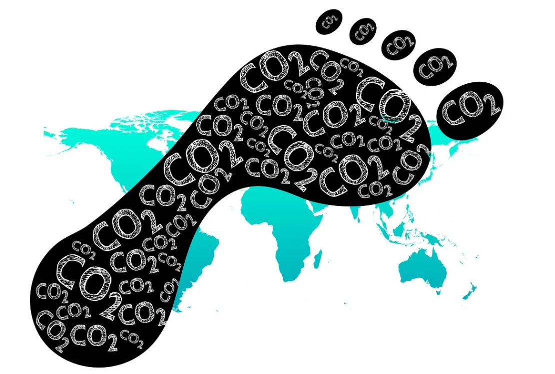 탄소중립실천포인트