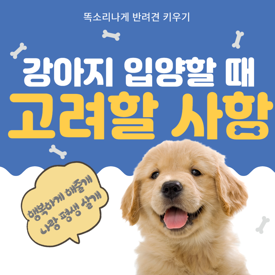 강아지 입양할 때 고려할 사항