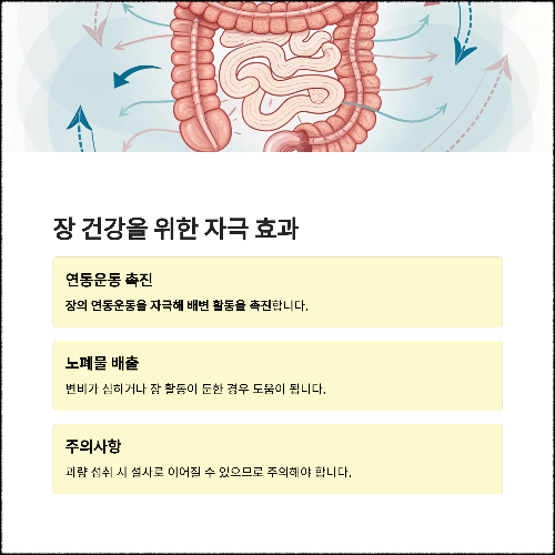 장 건강을 위한 자극 효과