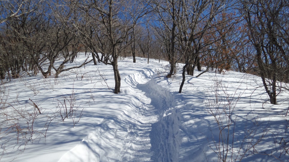 100대 명산 등산하기 평창 계방산(桂芳山, 1,577m) 설악·오대산과 함께 강원도 고산지대의 대표 명산