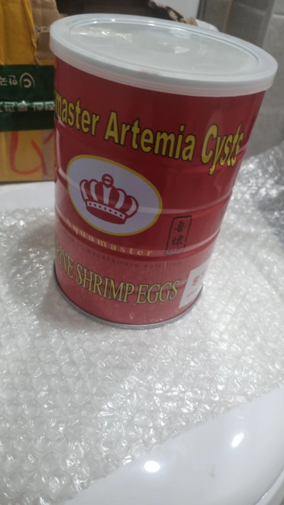 브라인쉬림프 에그 부화기 급여 및 보관 방법 가격 후기