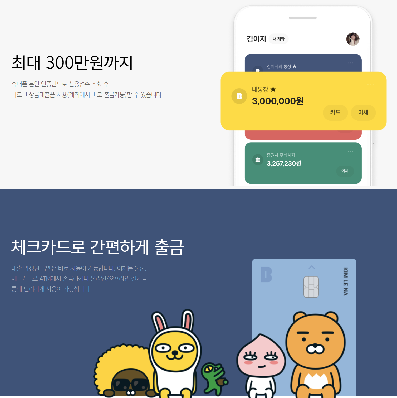 비상금 대출