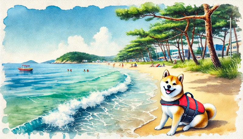 사계절 반려견 동반 여행지 추천: 봄, 여름, 가을, 겨울 강아지와 함께 가기 좋은 국내 여행 명소