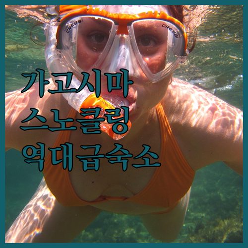 가고시마 스노클링 초보 가이드 및 직..