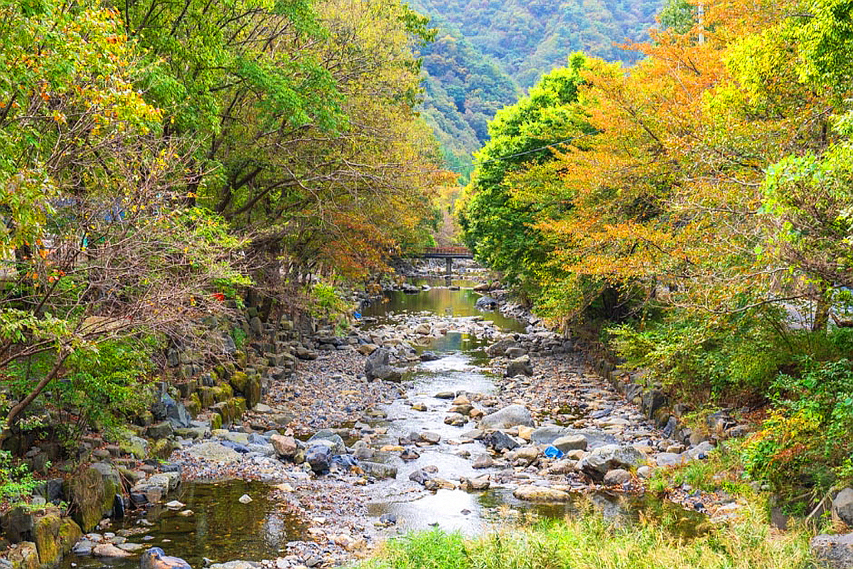 보령 심연동 계곡