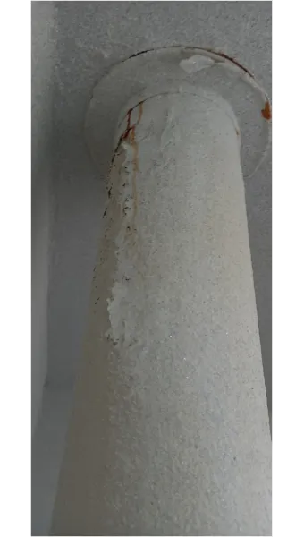 베란다 벌레 완벽 차단 방법과 여름철 실내 해충 예방 꿀팁_11