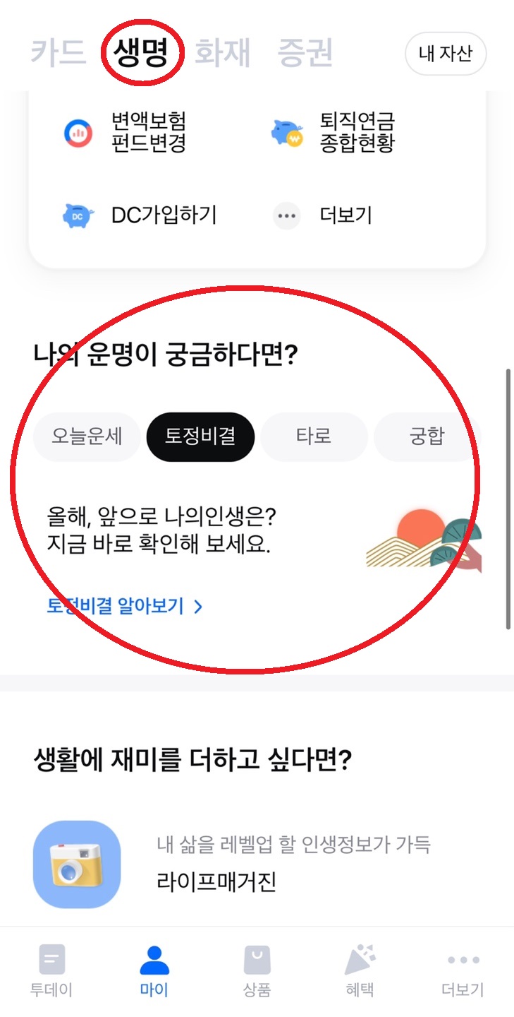 2023년 무료 신년운세