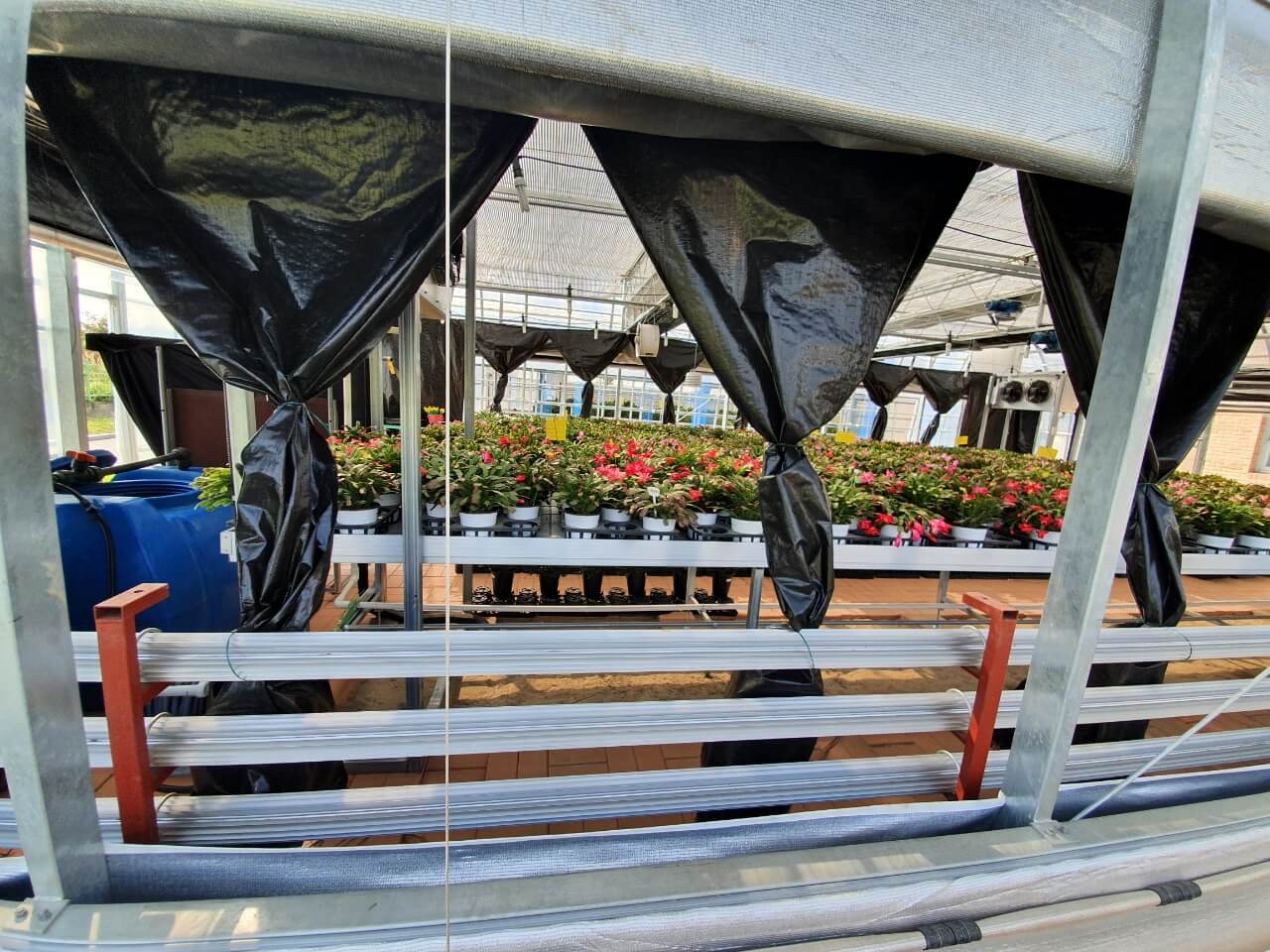 다육식물연구소-내부-다육이