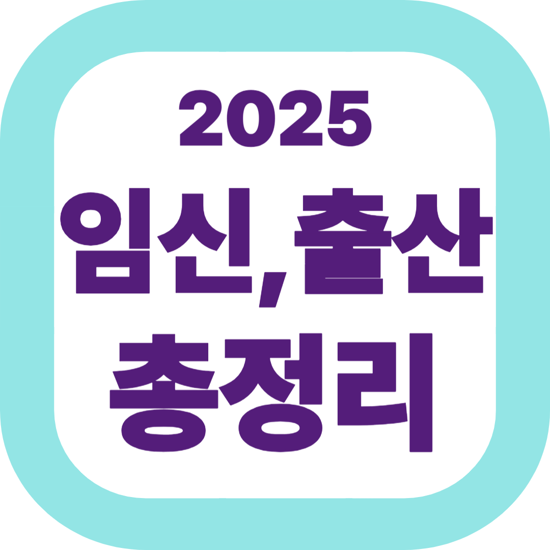 2025 임신출산 총정리
