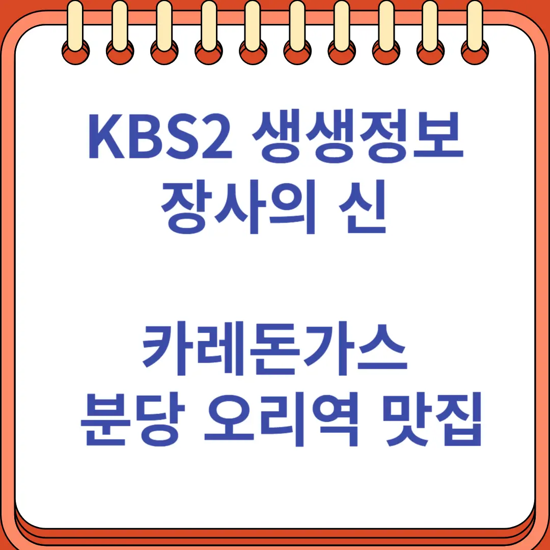 생생정보 장사의 신 카레돈가스 분당 오리역